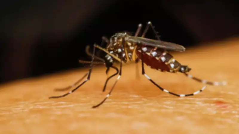 Top 10 Countries with Highest Mosquito Species Diversity: India Ranks 6th