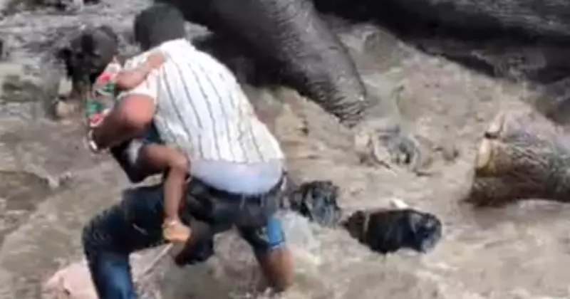 Tourist Crushed to Death as Two Elephants Clash at Dubare Camp