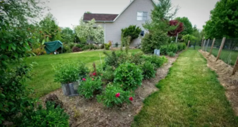 Transform Narrow Garden Beds with Vertical Plants and Smart Design