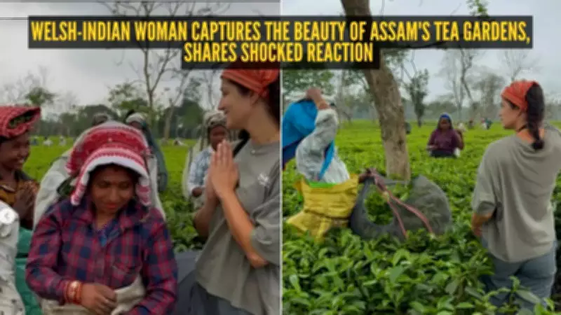 Travel Influencer Discovers Assam's Tea Gardens, Hails Women Workers