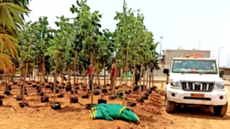 Tree Plantation Begins Along Mumbai Coastal Road Open Spaces
