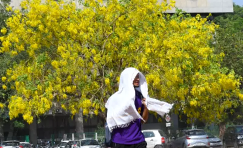 Tricity Under Orange Alert as Heatwave Persists, Storm Warning Fails