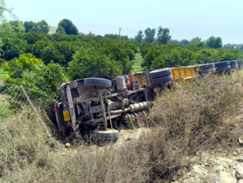 Truck Overturns on Abohar Highway While Avoiding Nilgai, Driver and Conductor Injured