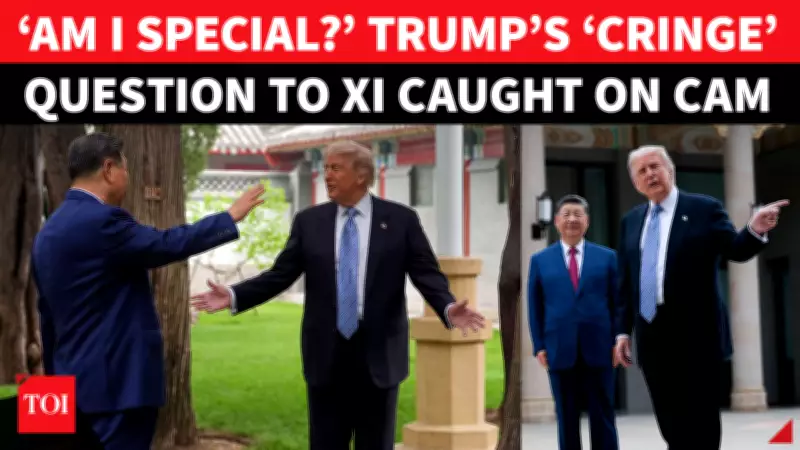 Trump Asks Xi If He Brings Other Leaders to Zhongnanhai Gardens