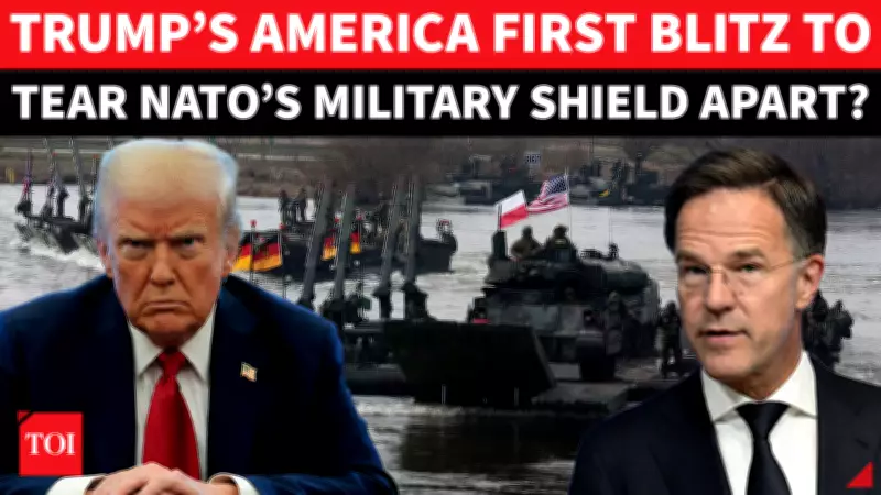 Trump May Slash US Military Assets for NATO, Rattling European Allies
