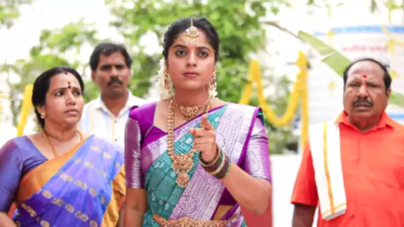 TV Serial Dhanam to End with Special Climax After 376 Episodes