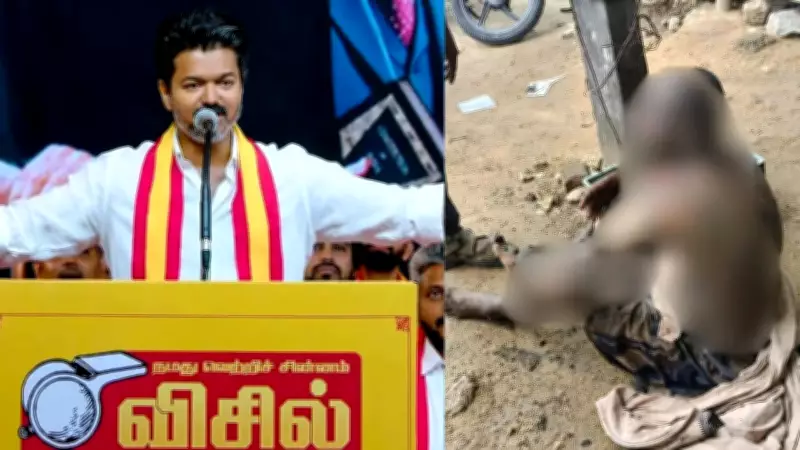 TVK functionary attempts self-immolation over Vijay's delayed CM bid