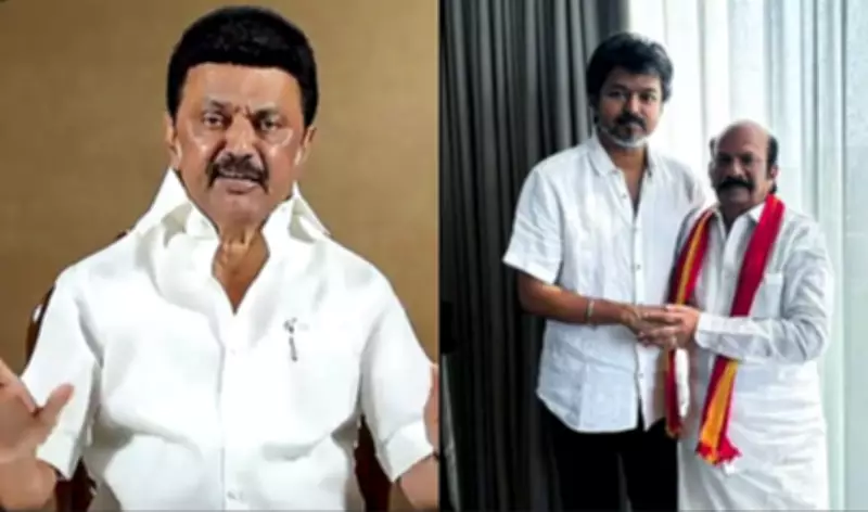 TVK's VS Babu leads against DMK chief Stalin in Kolathur constituency