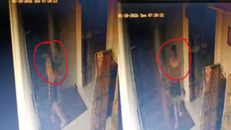 Twisha Sharma Death: CCTV Shows Her Going to Roof, Body Brought Down by 3 Men