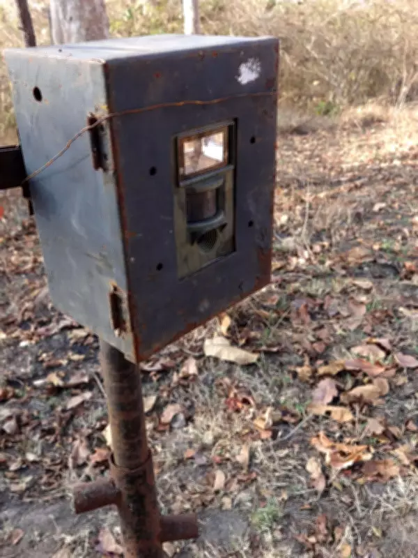 Two Camera Traps Stolen from Tiger Census Site in Karnataka Reserve Forest