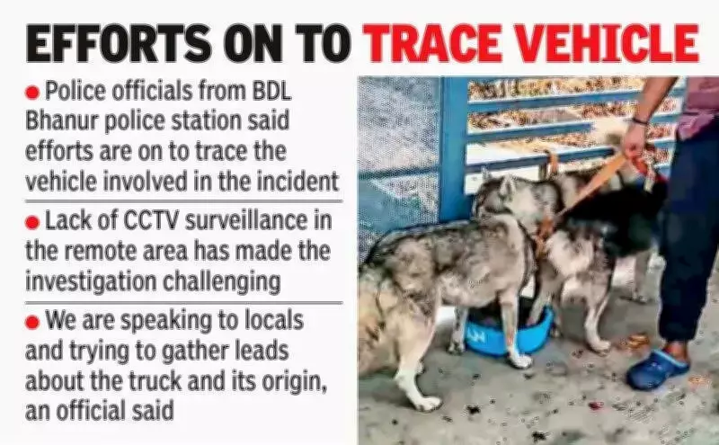 Two More Siberian Huskies Rescued Near Hyderabad After Abandonment