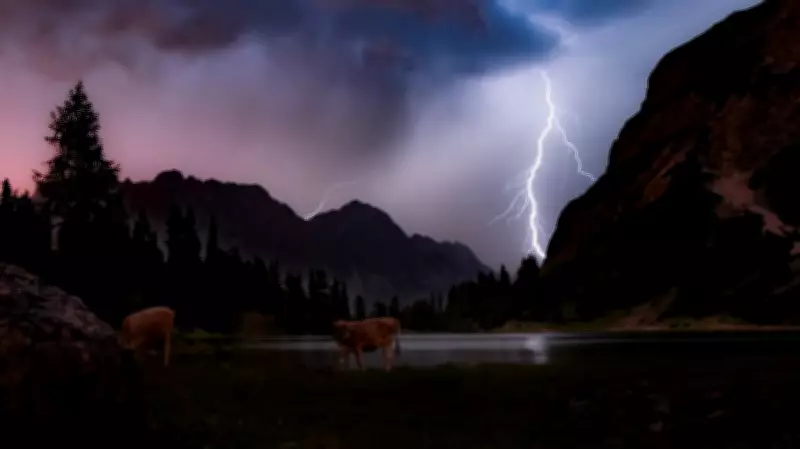 Two People and Cows Killed in Lightning Strike in Mysuru Region