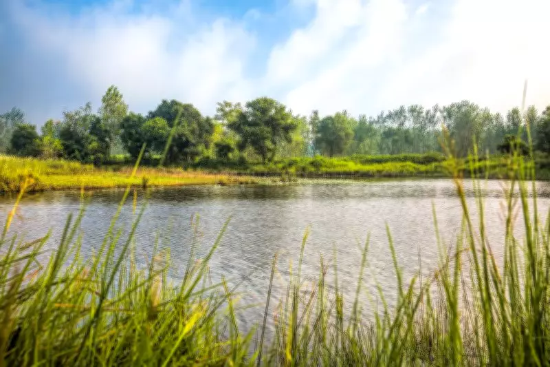 Two Sisters Found Dead in Pond Near Kapilmuni Temple in Kaithal