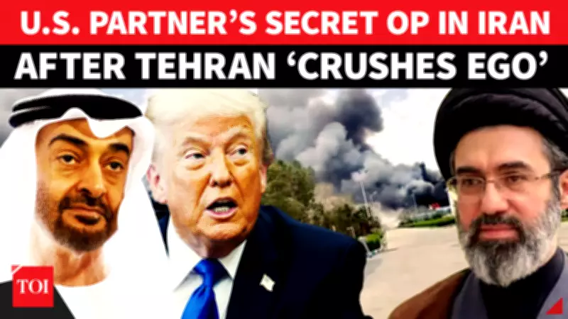 UAE Secretly Carries Out Military Strikes on Iran, WSJ Report Alleges