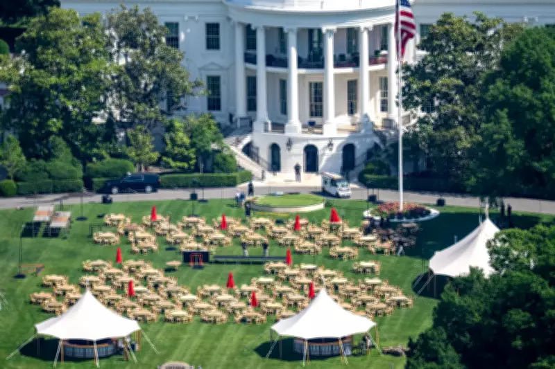 UFC President Dana White Reveals Insect Problem Threatening White House Event