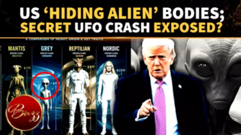 UFO Insider Claims US Recovered Remains of 4 Alien Species, Sparks Online Frenzy