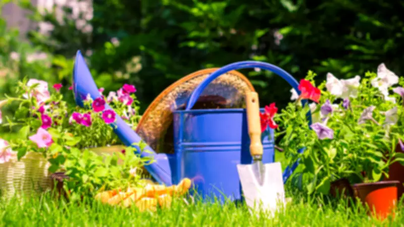UK Garden Rules: 7 Surprising Things You Cannot Do in Your Garden