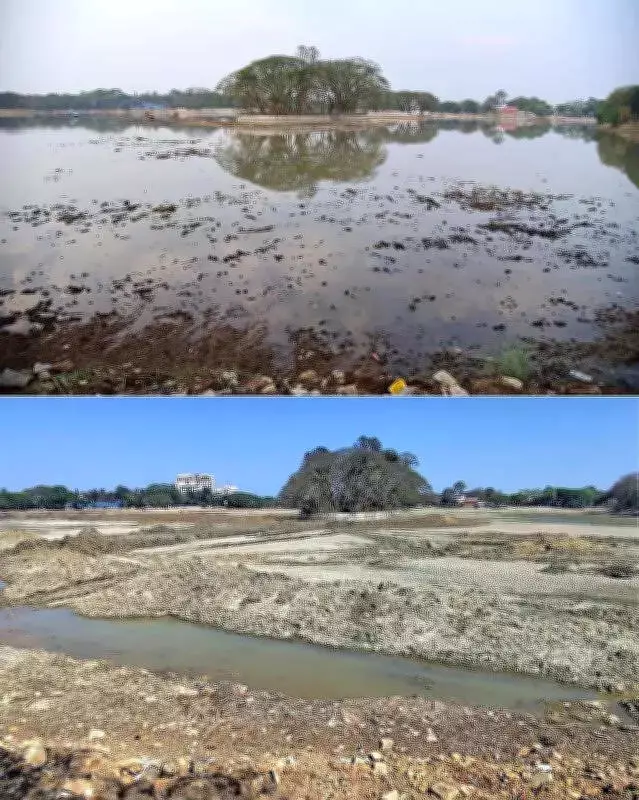Ulsoor Lake Desilting Paused Due to Rain, Plastic Waste Adds to Woes