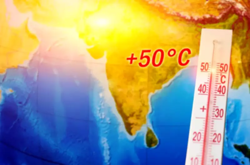 UN Climate Chief Points to Climate Change as Key Driver of India's Extreme Heat