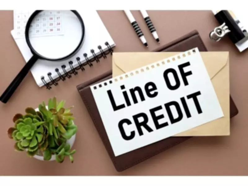 Unlocking a Credit Line Using Your Savings: How It Works