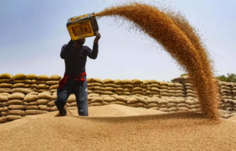UP Govt Procures 6.10 Lakh MT Wheat, Pays Rs 1,318 Crore to Farmers