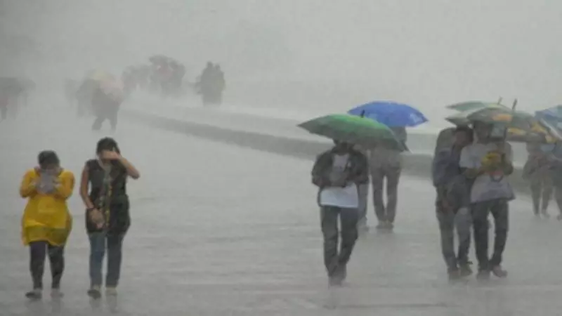 UP Rain Havoc: 21 Dead as Storm, Heavy Downpour Lash State