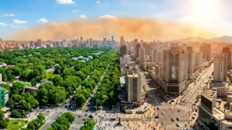 Urban Trees Cut Heat Gap by Half, But Can't Stop Global Warming Alone