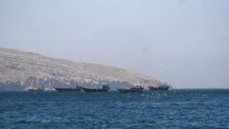 US Sinks Iranian Boats, Downs Missiles and Drones in Strait of Hormuz