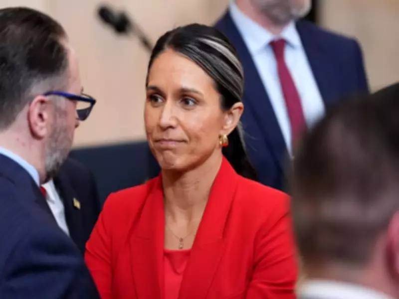 US VP Vance Praises Tulsi Gabbard as Patriot After DNI Resignation