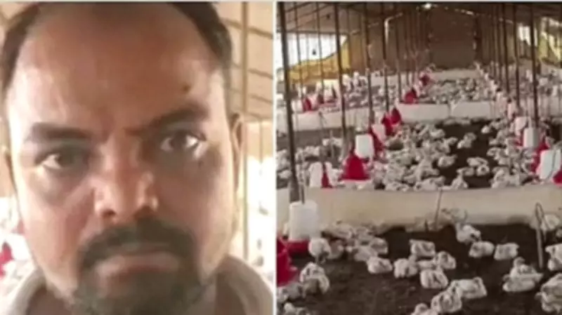 Uttar Pradesh: Loud DJ Sound Kills 140 Chickens at Poultry Farm