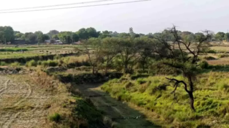 Uttar Pradesh Revitalizes Kilanhai River to Save Dying Water Bodies