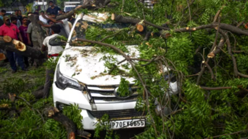 Uttar Pradesh Storms and Rains Claim 142 Lives, Devastate Crops
