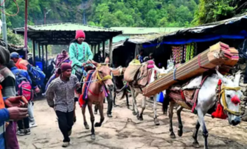 Uttarakhand SOP Caps Horses, Mules on Pilgrim Routes for Welfare