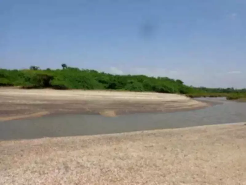 Vadhavan Port Corridor Clearance Triggers Environmental Uproar in Maharashtra