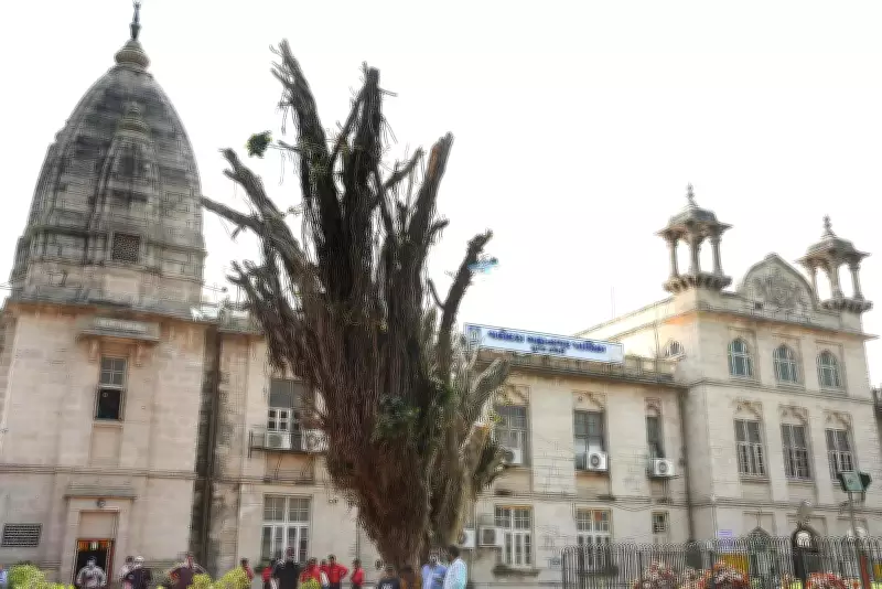 Vadodara Census 2027: Self-Enumeration Begins May 17, VMC Launches Awareness Drive