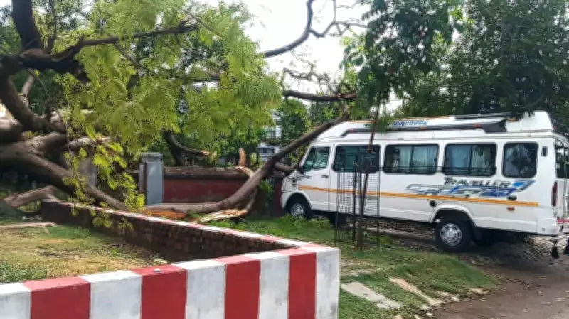Varanasi Rains Bring Relief from Heat, Trees Uprooted in Storm