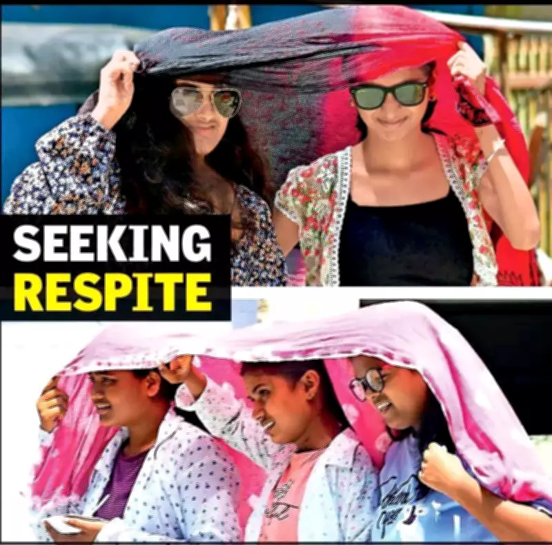 Vidarbha Heatwave: Seven Cities Among Hottest in India at 46°C