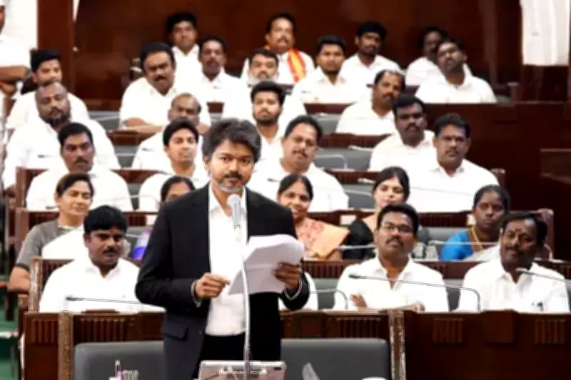 Vijay Says Single-MLA Parties Deserve Same Respect in Assembly