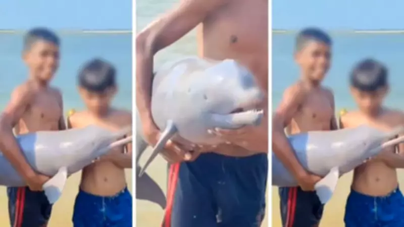 Viral Bihar Dolphin Video Sparks Concern Over Wildlife Safety