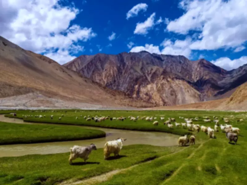 Viral Video of Kids Collecting Biscuit Toll in Zanskar Valley Wins Hearts