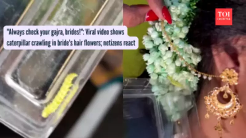 Viral Video Shows Caterpillar in Bride's Hair Gajra Sparks Hygiene Debate