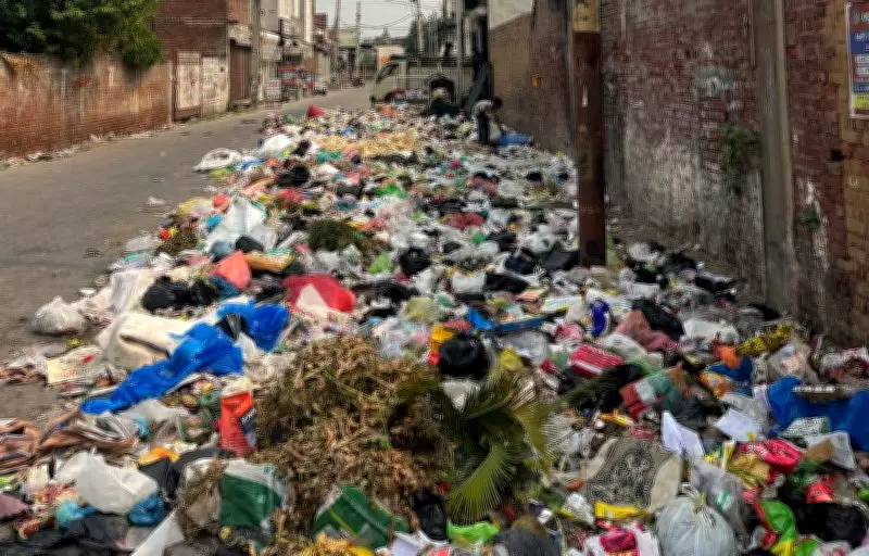 Waste Woes Compound in Malerkotla Amid Sanitation Workers Stir