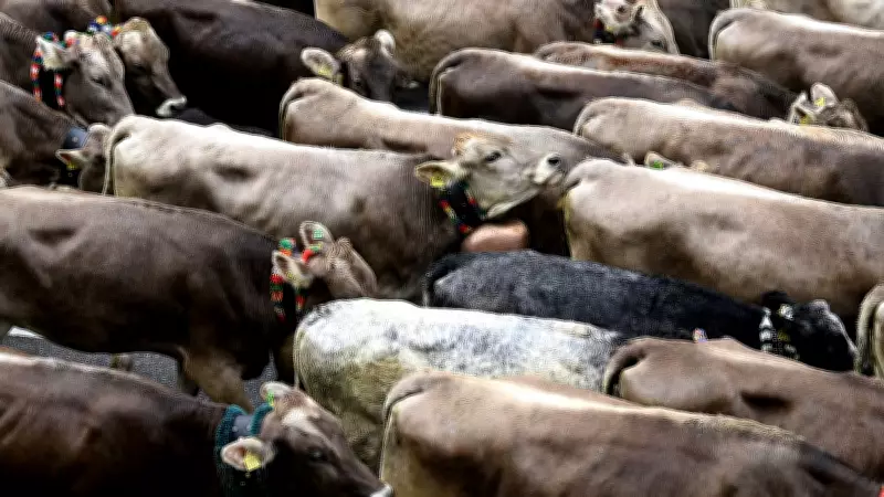 West Bengal Government Issues New Guidelines for Animal Slaughter