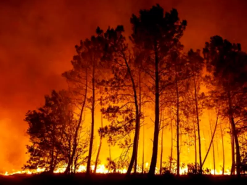 Western US States Use AI for Early Wildfire Detection