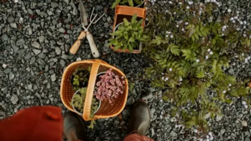 What Gardening Teaches About Patience, Seasons, and Slowing Down