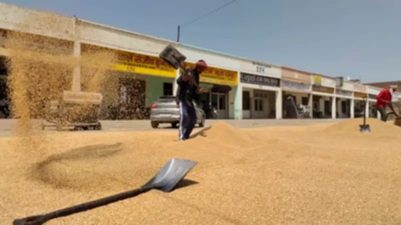 Wheat Procurement Under Scanner in Karnal Amid Suspected Inflow from UP