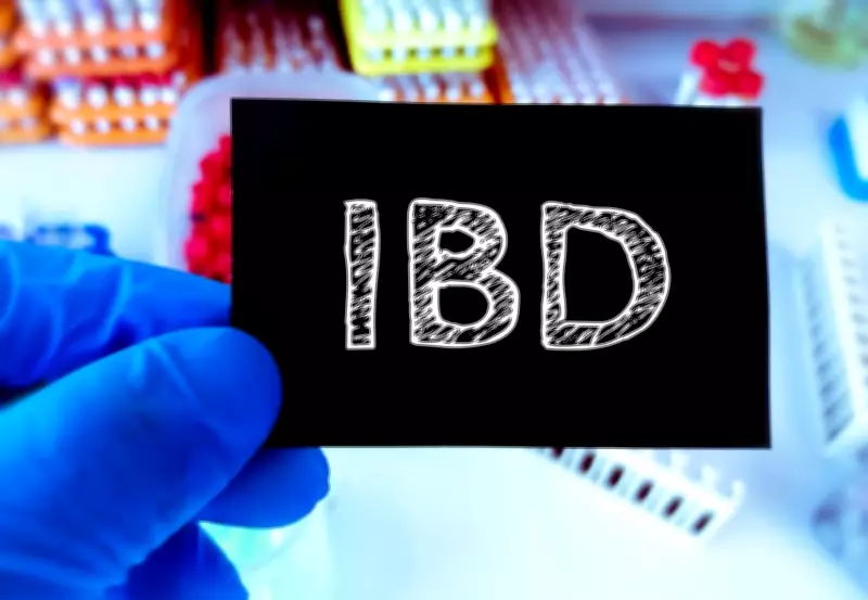 When the Gut Wages War: Understanding IBD on Its Global Awareness Day