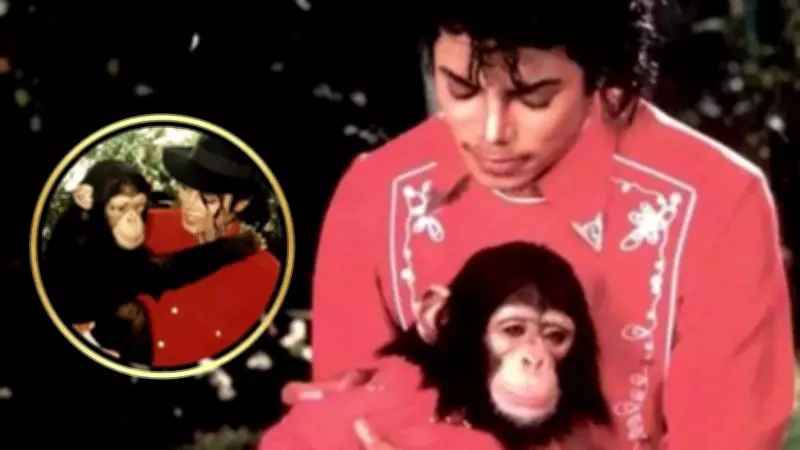 Where Is Michael Jackson's Pet Chimp Bubbles Now? 2025 Update