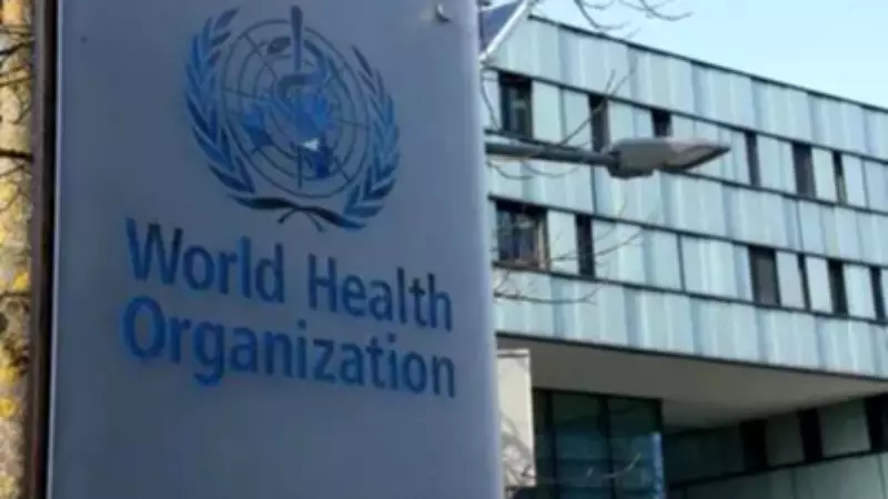 WHO: Hantavirus Outbreak on Cruise Ship Likely Limited, But More Cases Possible