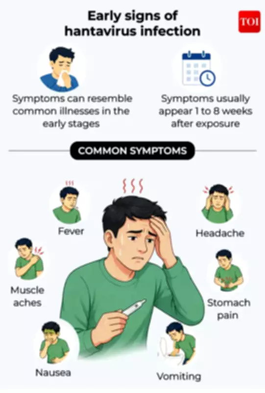 WHO Issues Advisory on Hantavirus: Symptoms, Prevention, and Risks